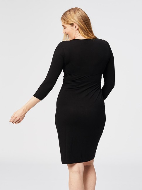 isabella oliver ivybridge maternity dress