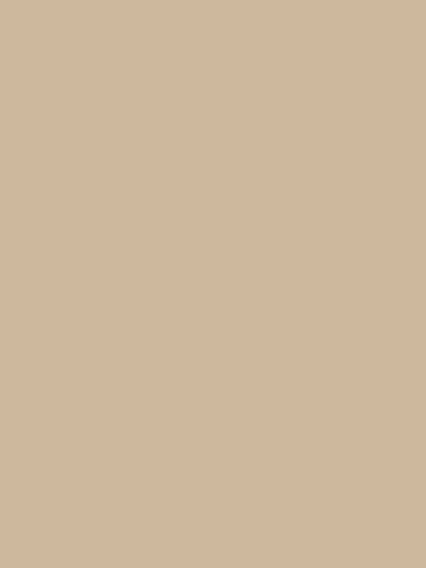 Coconut Classic Maternity Tankini (B-E Cups) - Khaki