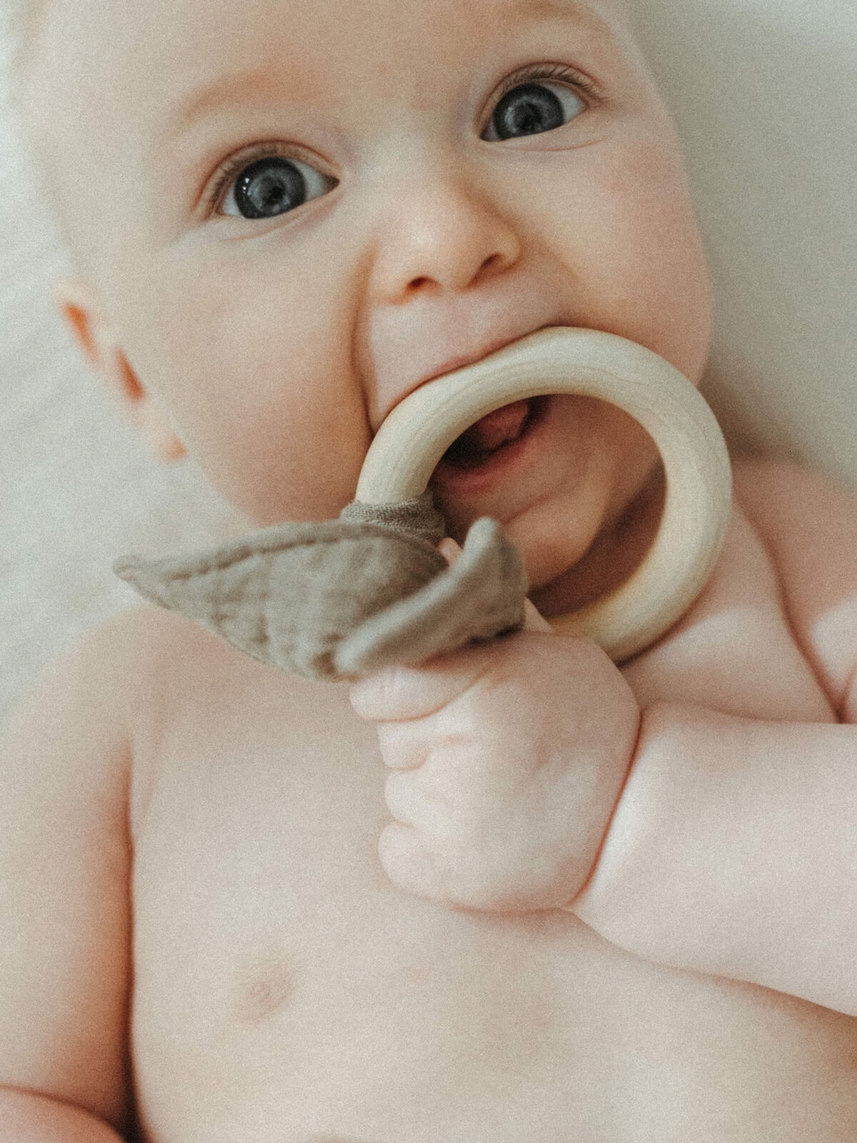 bunny teethers