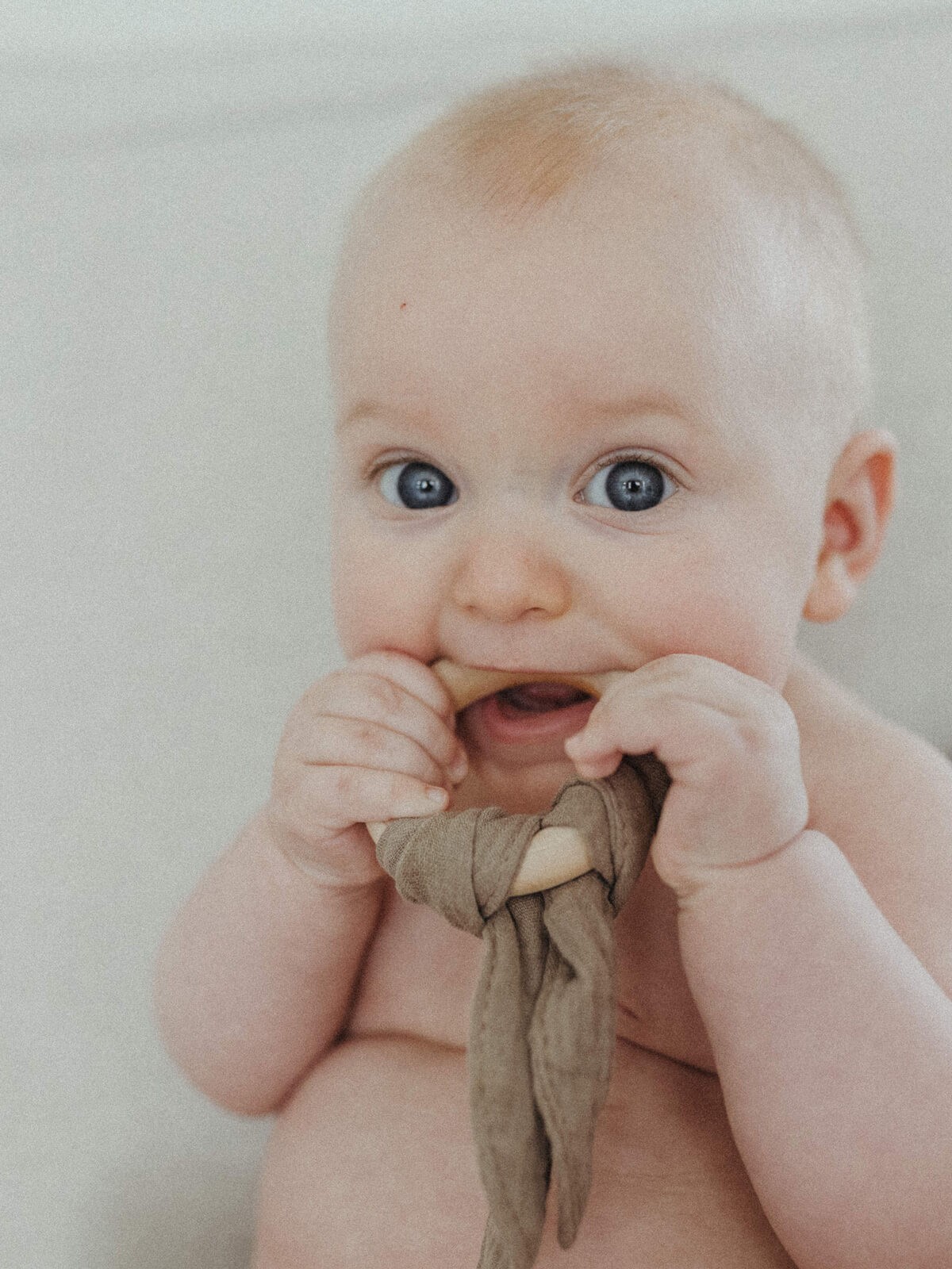 bunny teethers