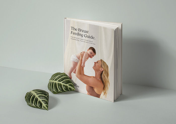 cakemama breast feeding book guide