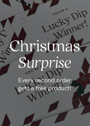 christmas surprise menu banner