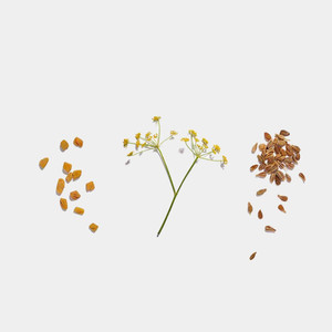 crafted specifically